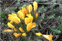 6c7f07a1-Picture 011.jpg